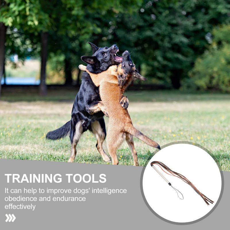 Dropshipping Teaser Pole Teaser Pole Dog Training Bullwhip Pet Toy Pet Training Supplies Factory Price