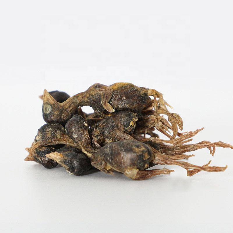 Bulk Wholesale Freeze Dried Chicken Freeze Dry Pet Food Freeze Pet Food Dog Treat Cat Treat