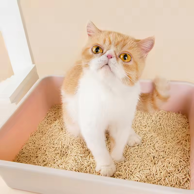 Tofu Cat Litter Biodegradable Natural Deodorizing Cat Litter