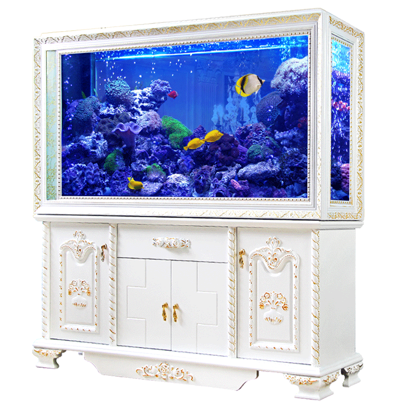 High Quality European Style Screen Cylinder Hydroponic Fish Tank For House