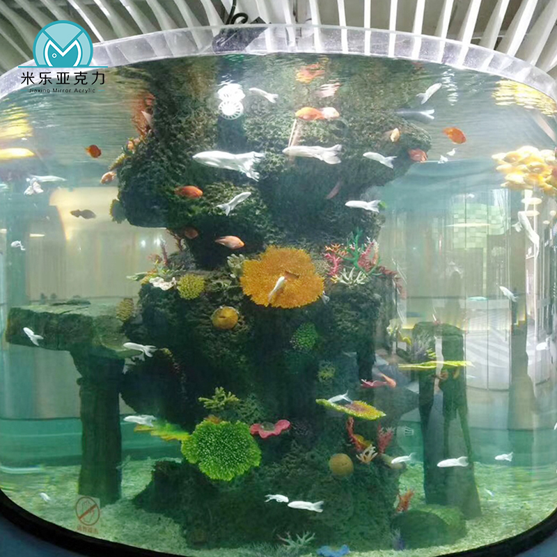Competitive wholesale price high-quality newly designed Acrylic Tank Aquarium Live Fish