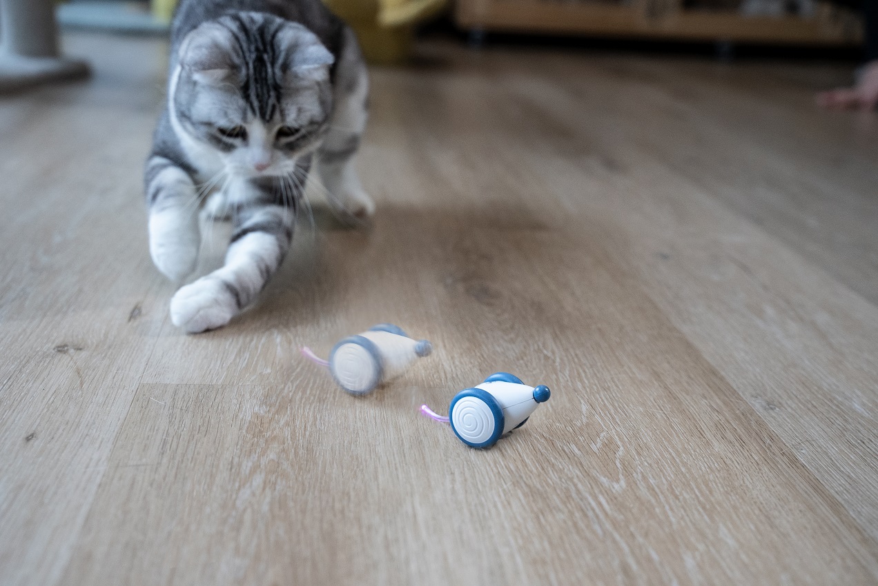 Wholesale Hot Selling Safe Materials USb Rechargeable New Pet Interactive & Movement Other Cat Toys