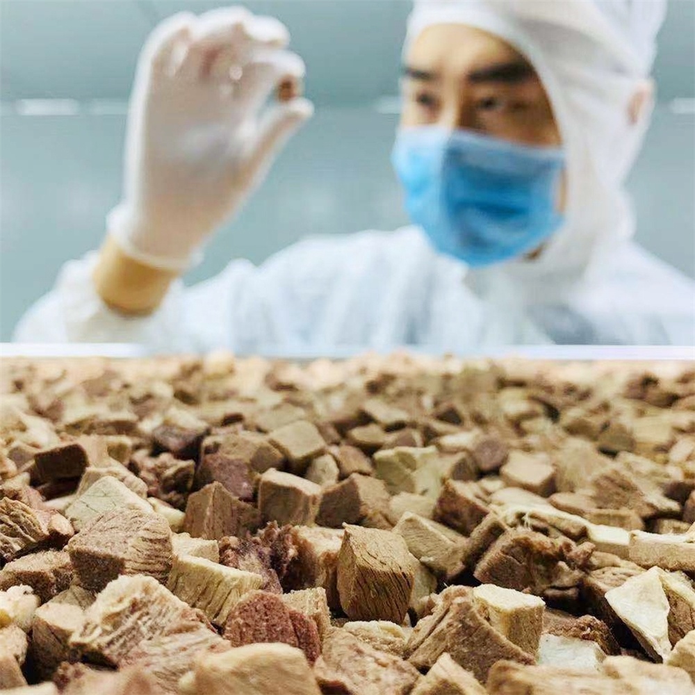 Safety Healthy Freeze Dried Beef OEM dog treat cat snacks pet food high quality dry meat