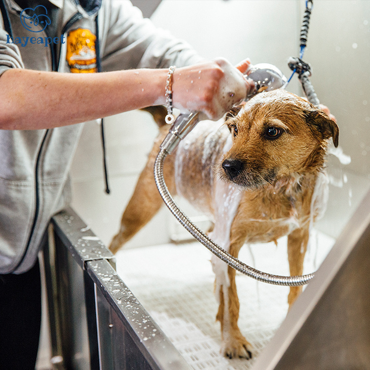 Manufacturer high quality stainless steel non slip footwear Pet SPA Shower Electric lifting pet grooming tub With lifting door
