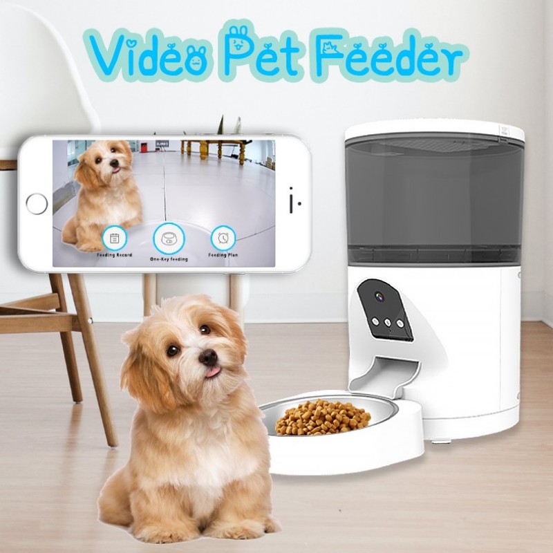New design HD camera two voice interactive 4L 6L smart automatic pet feeder