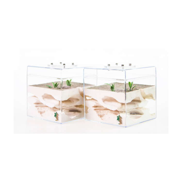 Minimalist Nordic Design Clear Acrylic Reptile Box Aquarium accessories