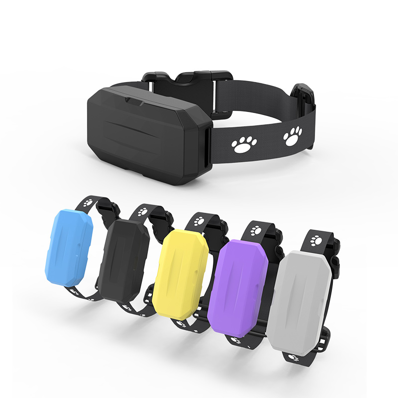 Accurate Real Time Location Trackers Dog Cat GPS For Pets