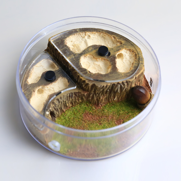 Colony Observation Circular Design Formicarium for Ants