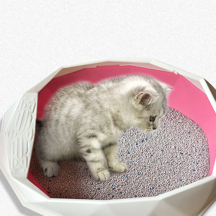 Manufacturing efficient clumping natural bentonite cat litter pack Fresh Taste sand bentonite cat litter