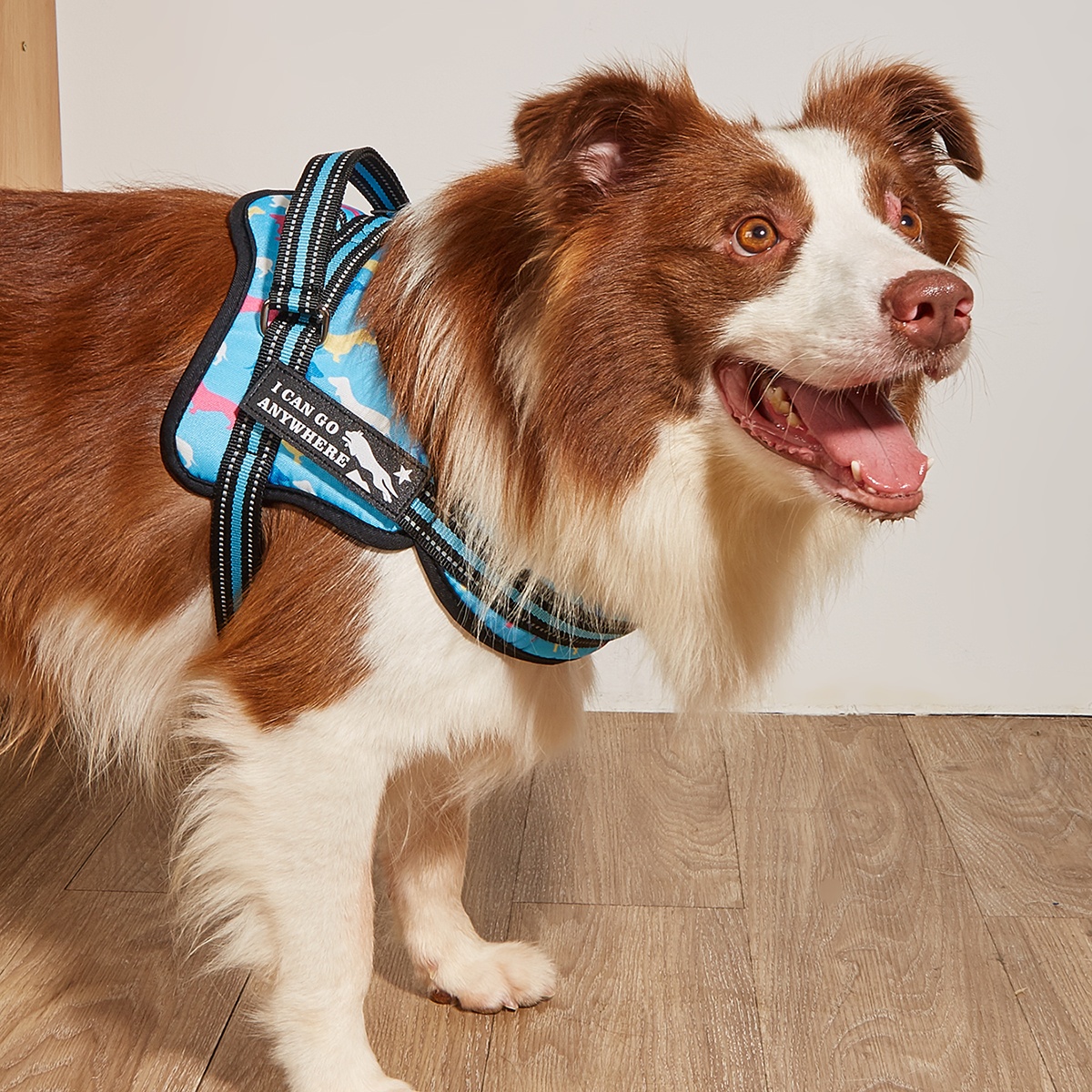 MIDEPET Wholesale Dog Harness Adjustable Soft Padded Luxury Designer Personalized Arnes Para Perros Dog Harness