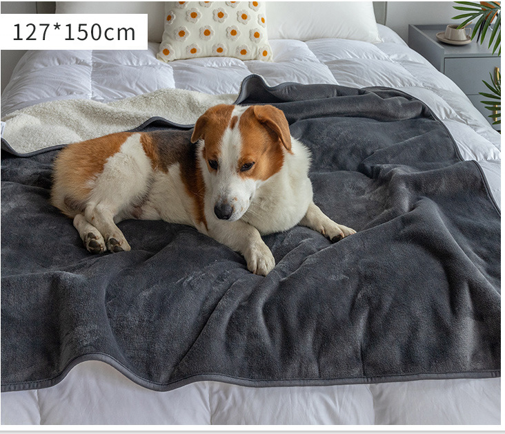 OF Factory Directly High Quality Waterproof Luxury Dog Fleece Blanket Pet Bed Throw Pet Blanket