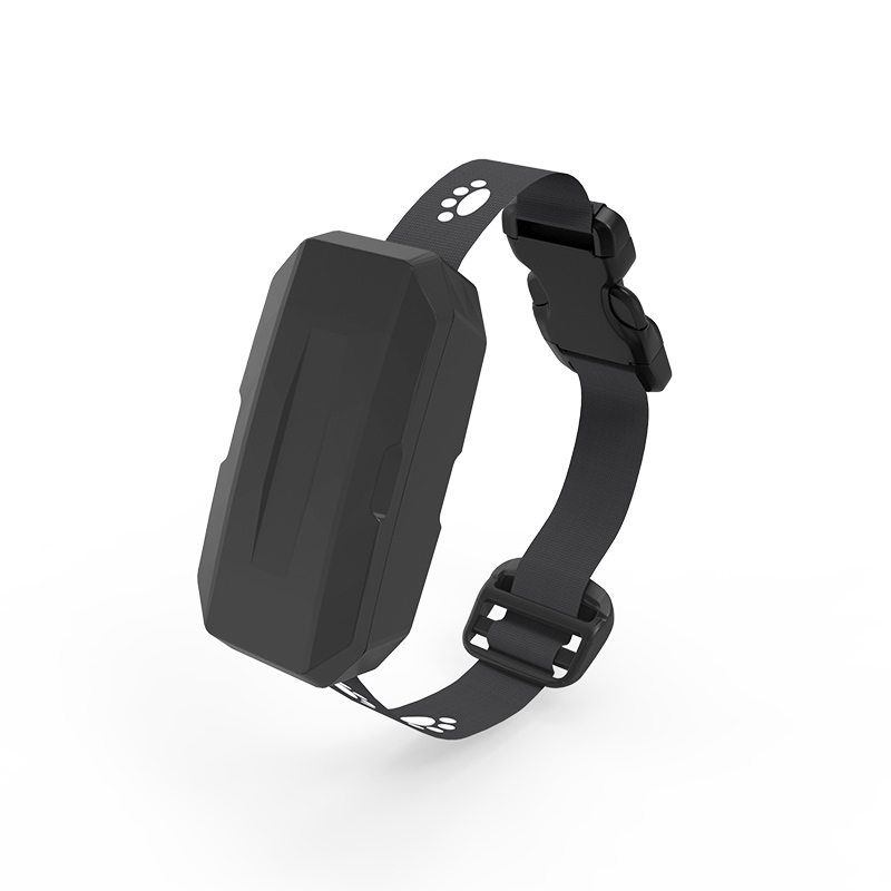Accurate Real Time Location Trackers Dog Cat GPS For Pets