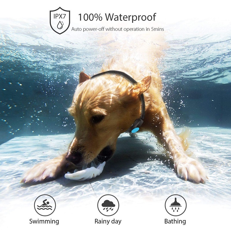 3 Modes Of Buzzer Vibration Static Impact Popular Pet Training Products Wholesale Collar Dog Training Collar Rechargeable