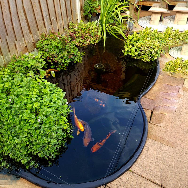 Black modern luxury home garden outdoor fibreglass stock farming aquaculture artificial koi pool pond boat fish pond tank