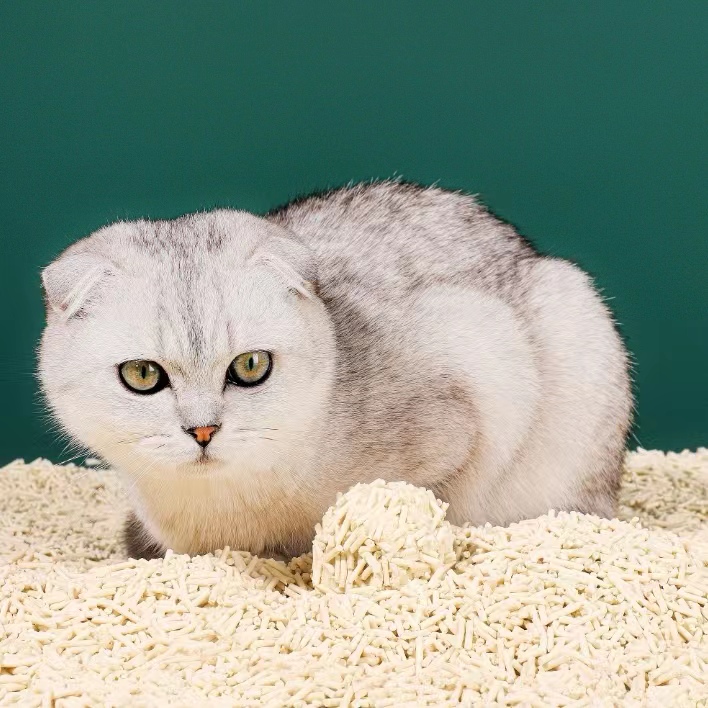 Wholesale 100% Natural plant tofu cat litter strong clumping fast water absorption dust free Tofu Cat Litter product