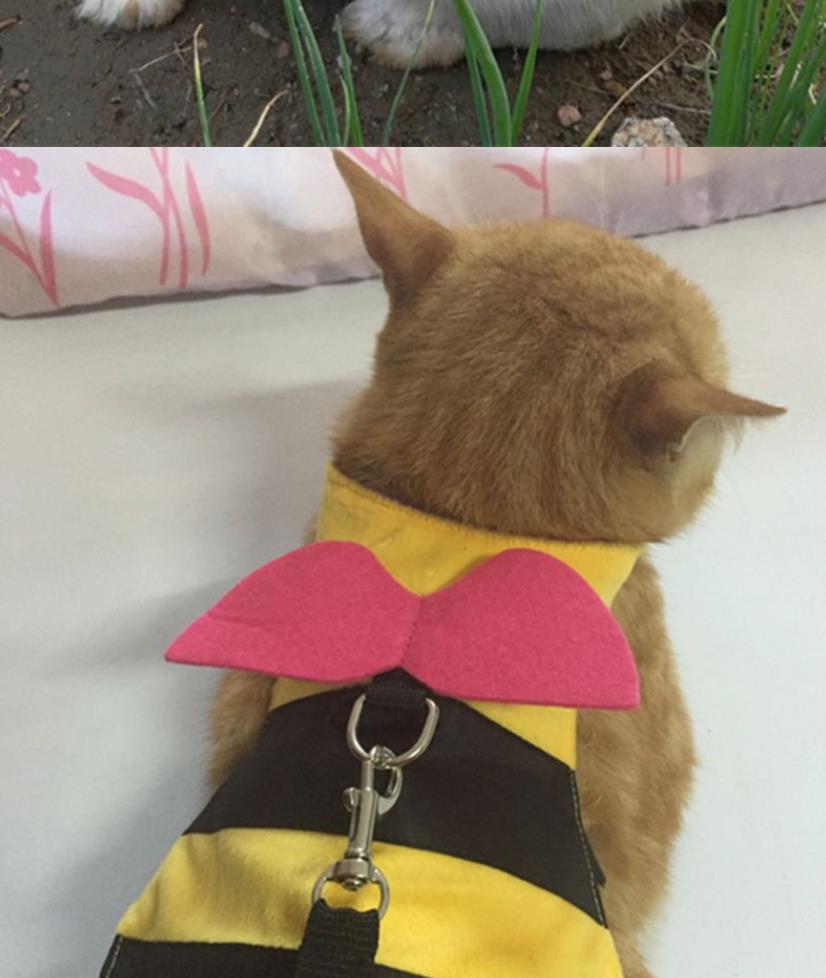 Cute Bee Shape Rabbit Vest Harness Small Pet Hamster Cat Harness Leash Strap