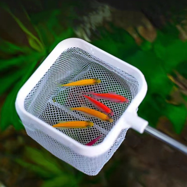 Hot selling 3D Fish Tank Fishing Net Stainless Steel Retractable Fish Shrimp Fish Net Pocket