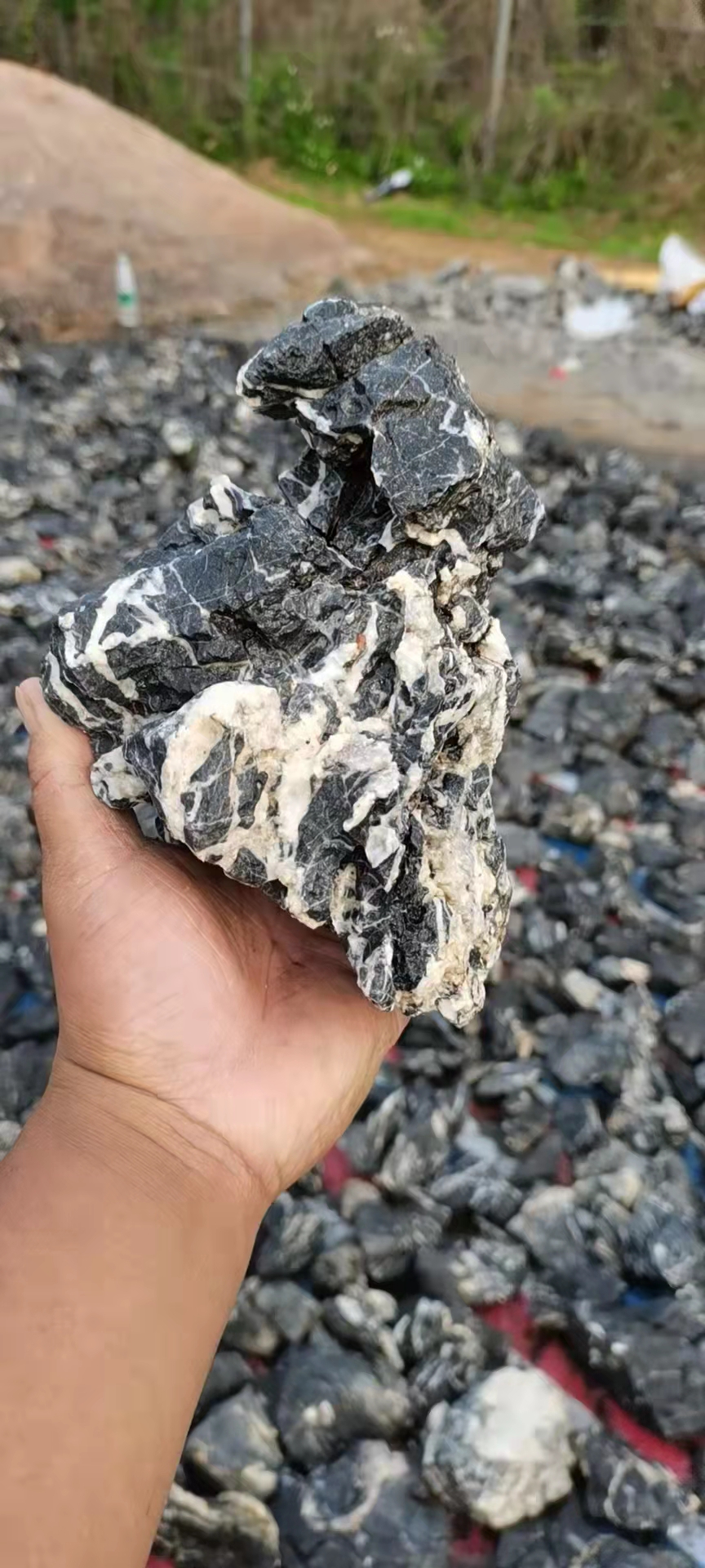 10-30cm acid washed seiryu dragon fish tank stone for for Paludarium Aquascape