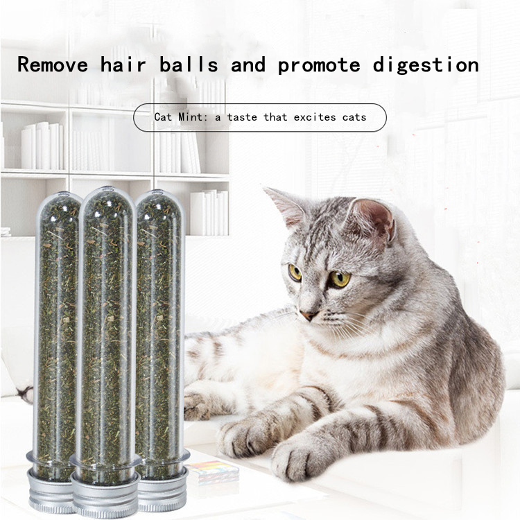Pet products top sellersl 45ml cat toys test tube cat mint pet shop catnip cat mint