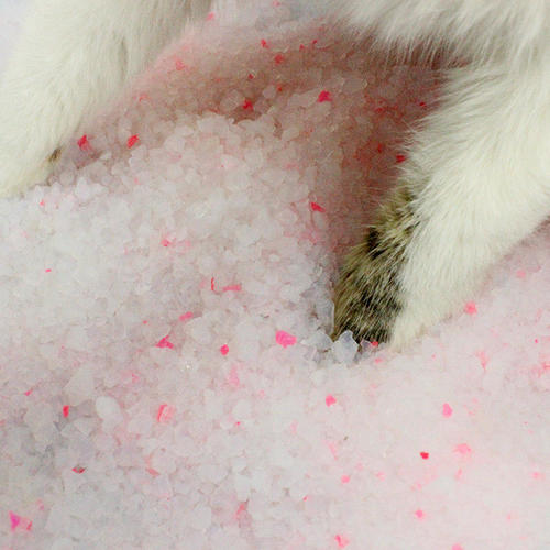 Factory direct wholesale 1-8mm 1.7kg Pet Products Supply Silica Gel Sand Filler Clean Blue Crystal Silicone Cat Litter