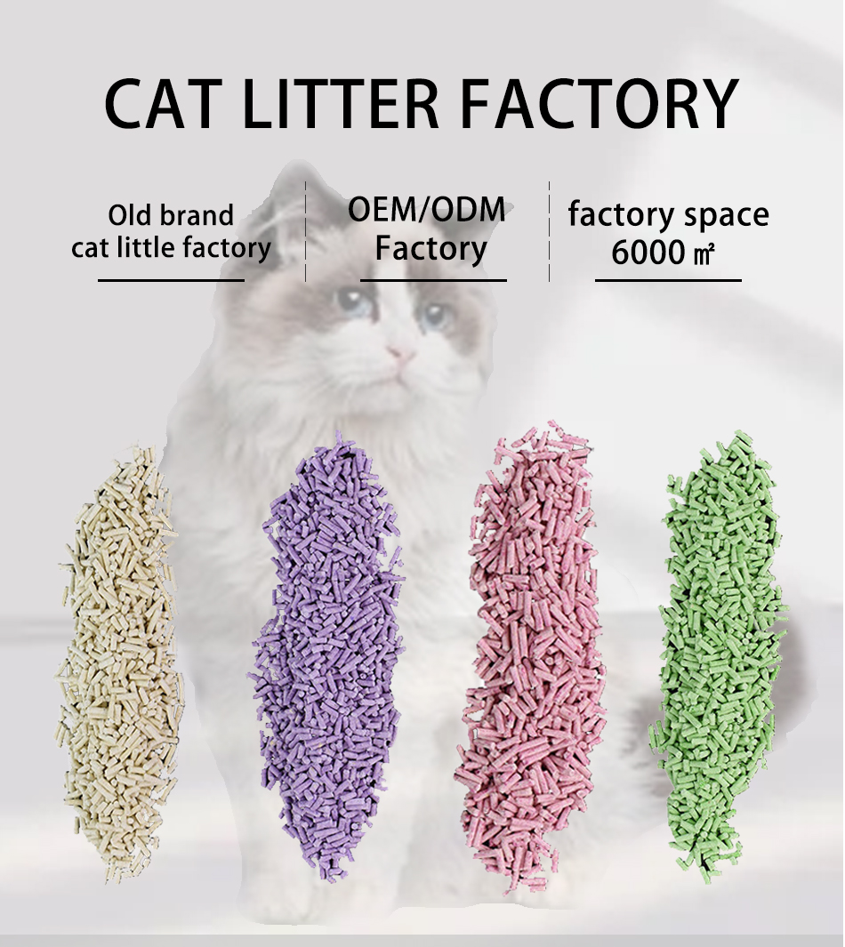 Trusted Supplier's Natural Organic Tofu Cat Litter Degradable and Eco-Friendly Vending
