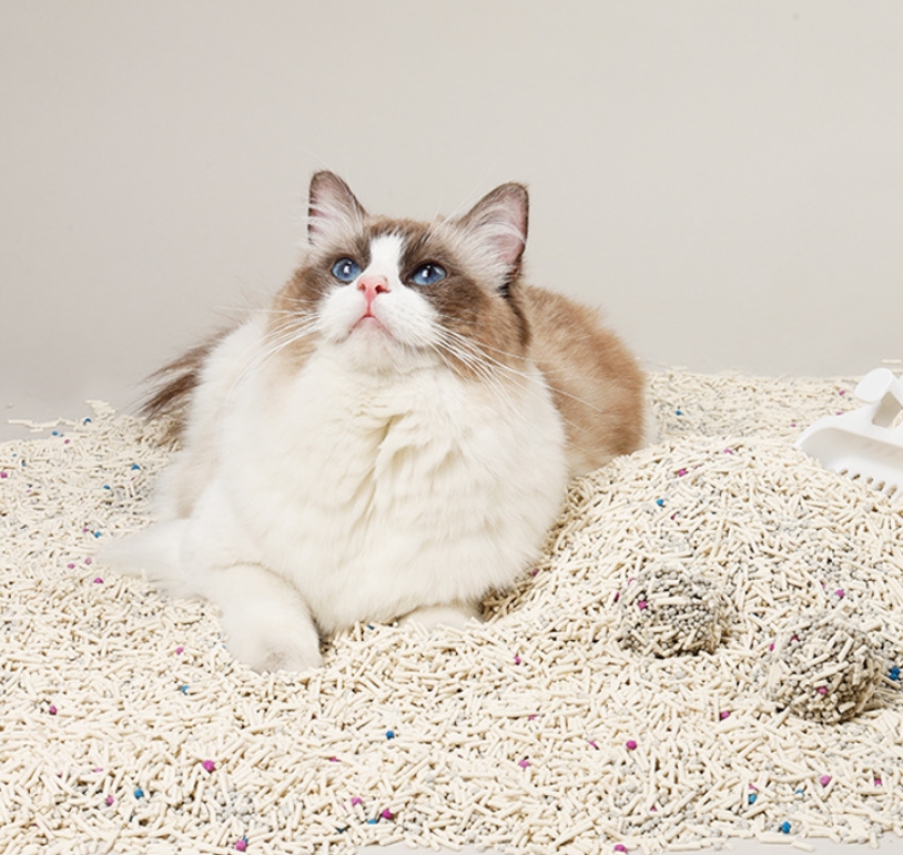 Wholesale Extra Water Absorption Made Of Eco-Friendly Material No Dust Tofu Cat Litter Sand