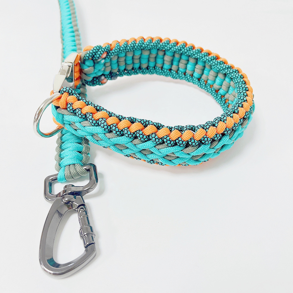 collar leash set new pet products 2022 innovative product correas para perros metal buckle chien swivel carabiner for dog leash