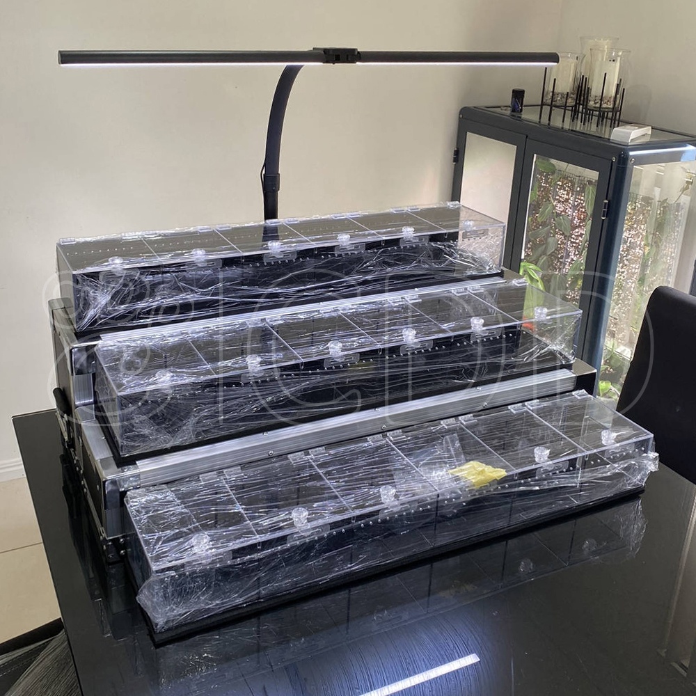 Reptile expo show 3 shelves reptile exhibition display acrylic reptile display cases suppliers