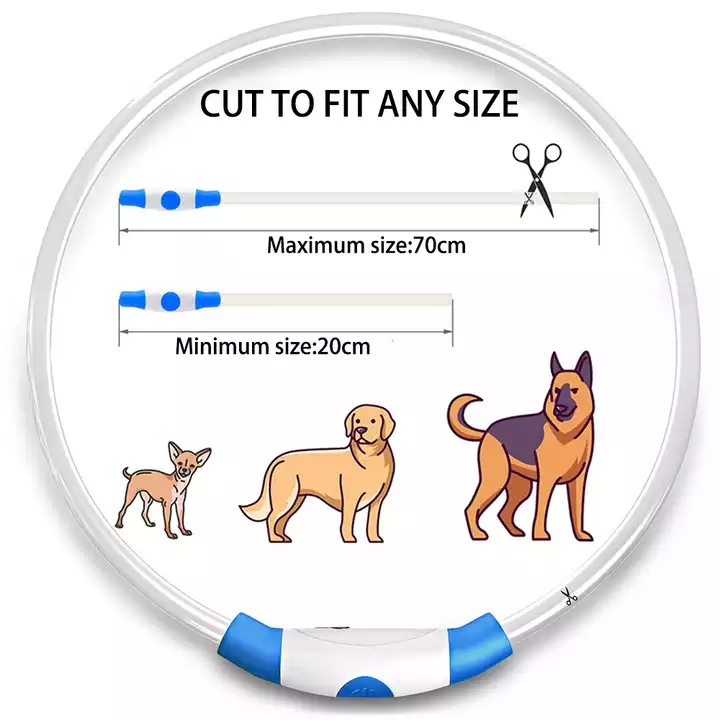 Dog Collar Set With Poop Bag Shock Remote Training Electric Hamess And Leash Silicone Angel Wings Harness