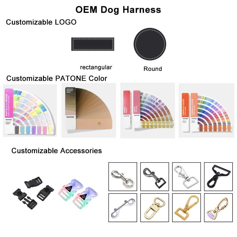 WeLove Factory Custom Logo Luxury No Pull Waterproof Training Lead Pet Cat Dog Poop Bag Holder PVC Harness Leash Collar Set