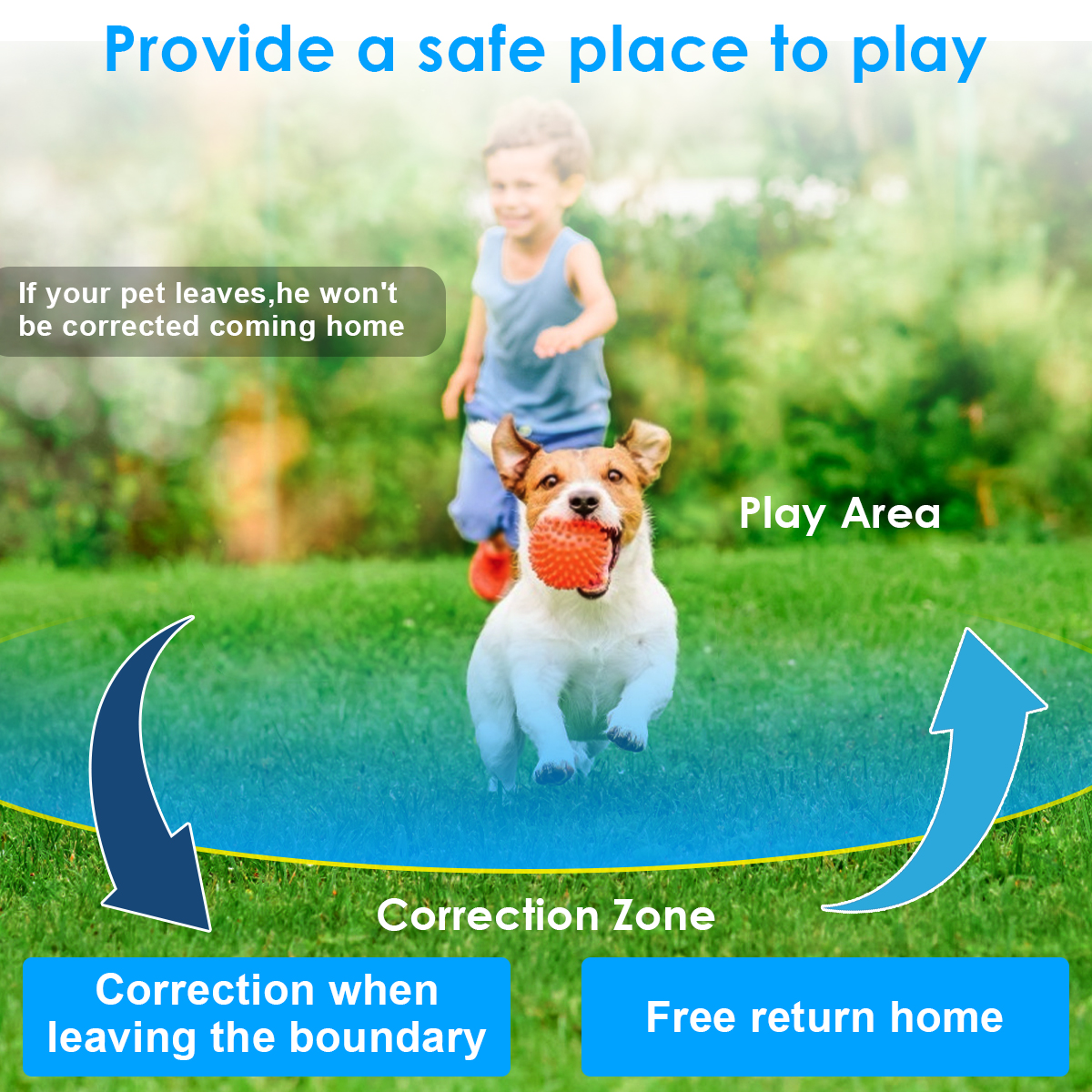iPetDog IT588 Pet Containment System Radio Electric Hidden Fence For Dogs