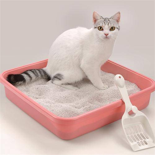 100% Natural plant made environmental protection super high absorption dust free tofu cat litter