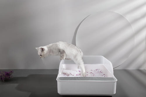 3.8l Silica Gel Cat Litter Good Absorb Ability