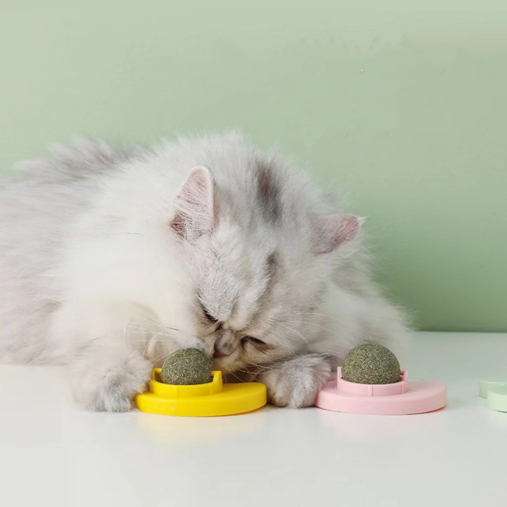 Catnip Balls,Natural Energy Boosters for cats Teeth & Gum Health,Healthy Dental Care & Fun Interactive Play Toys