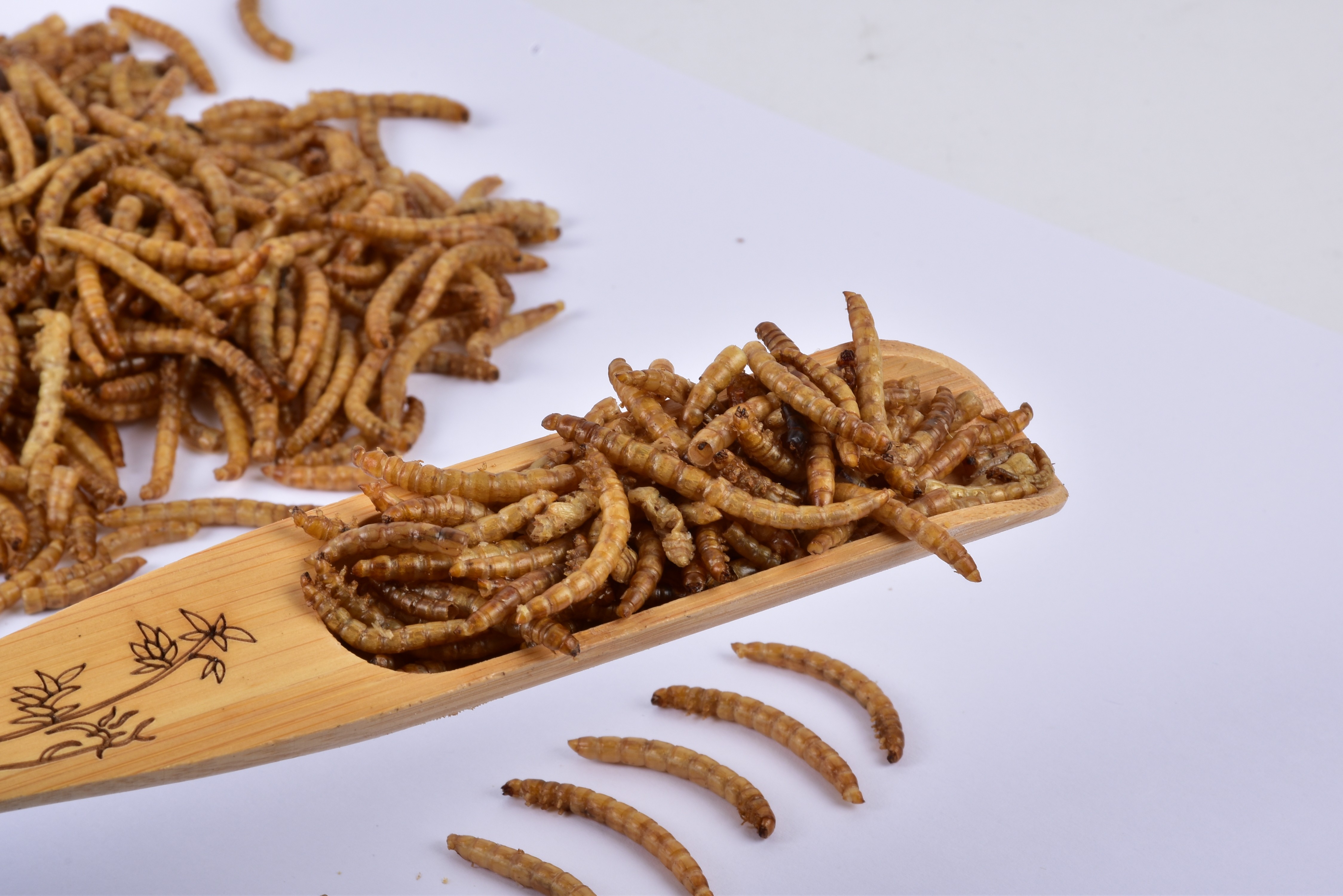 [SINO CROWN]Popular protein fish meal feedchile feed additive Insects Powder Fish Meal Dried Mealworms Powder As Fish