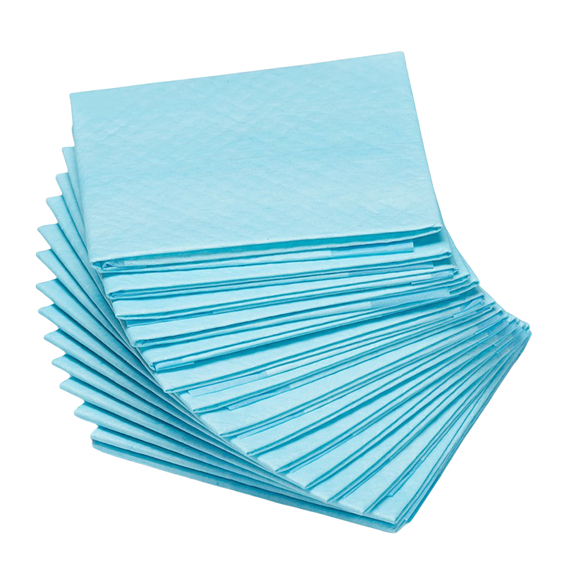 Indoor Pet Urine Absorbent Training Pee Pads Nappies for Animals Thick Deodorizing Dog Diaper with Printed Feature