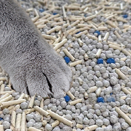 New Design Pets Wholesale Sample Free Kitty Sand Mixed Cat Litter Sand Catlike