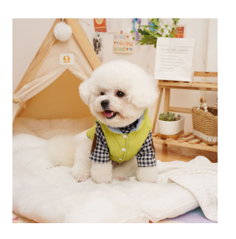 Warm Comfortable Dog Clothes Reversible Pet Clothes for Cat Dog