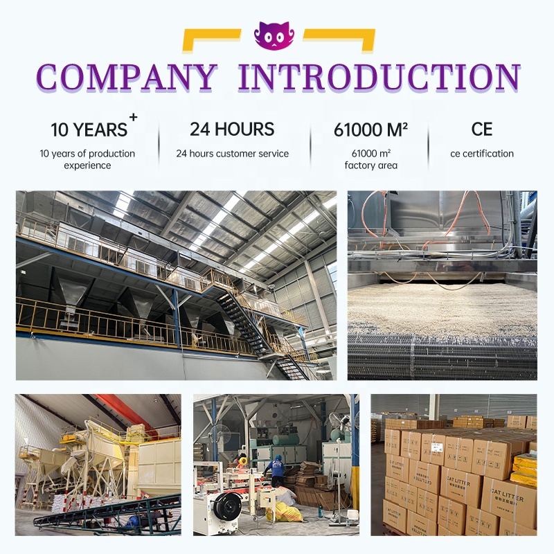 Free Samples Bulk Tofu Cat Litter Wholesale Active Carbon Cat Litter Factory