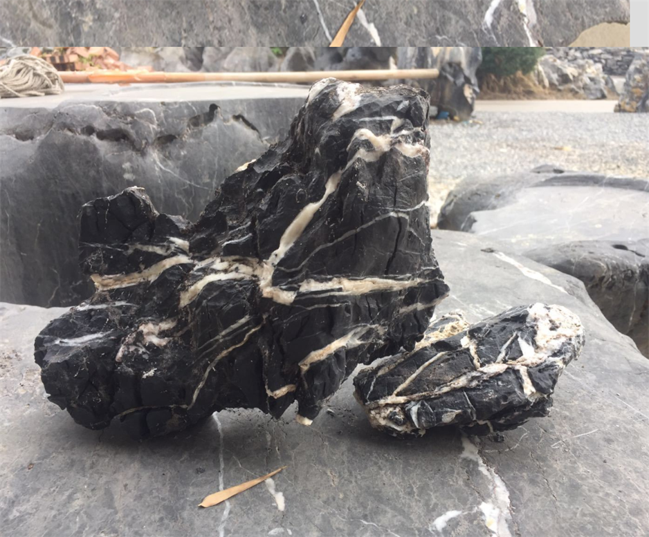 Landscaping Natural Aquarium Seiryu-Seki Qinglong Stone for fish tank aquascape