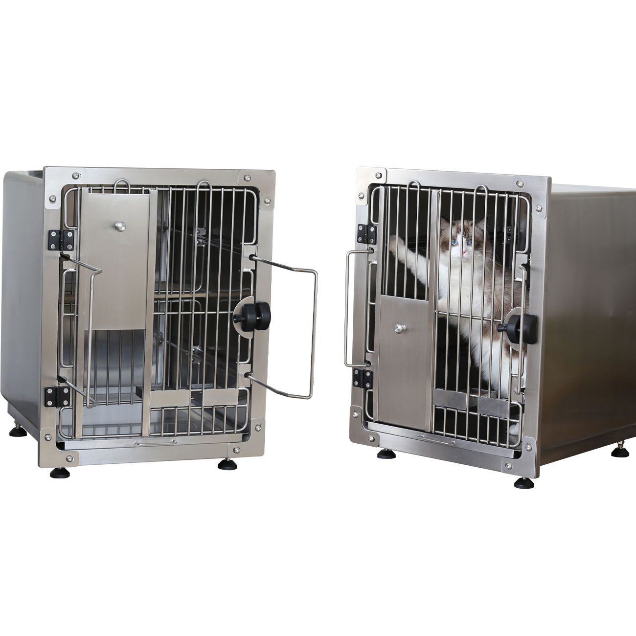 AEOLUS Professional veterinary pet control cage Restraint Cage injections & examinations Restricted pet cage