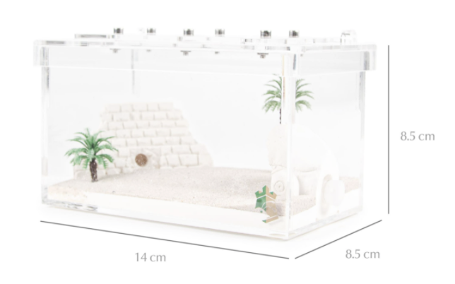 Ant Farm Colony Sphinx Design in Clear Acrylic Box