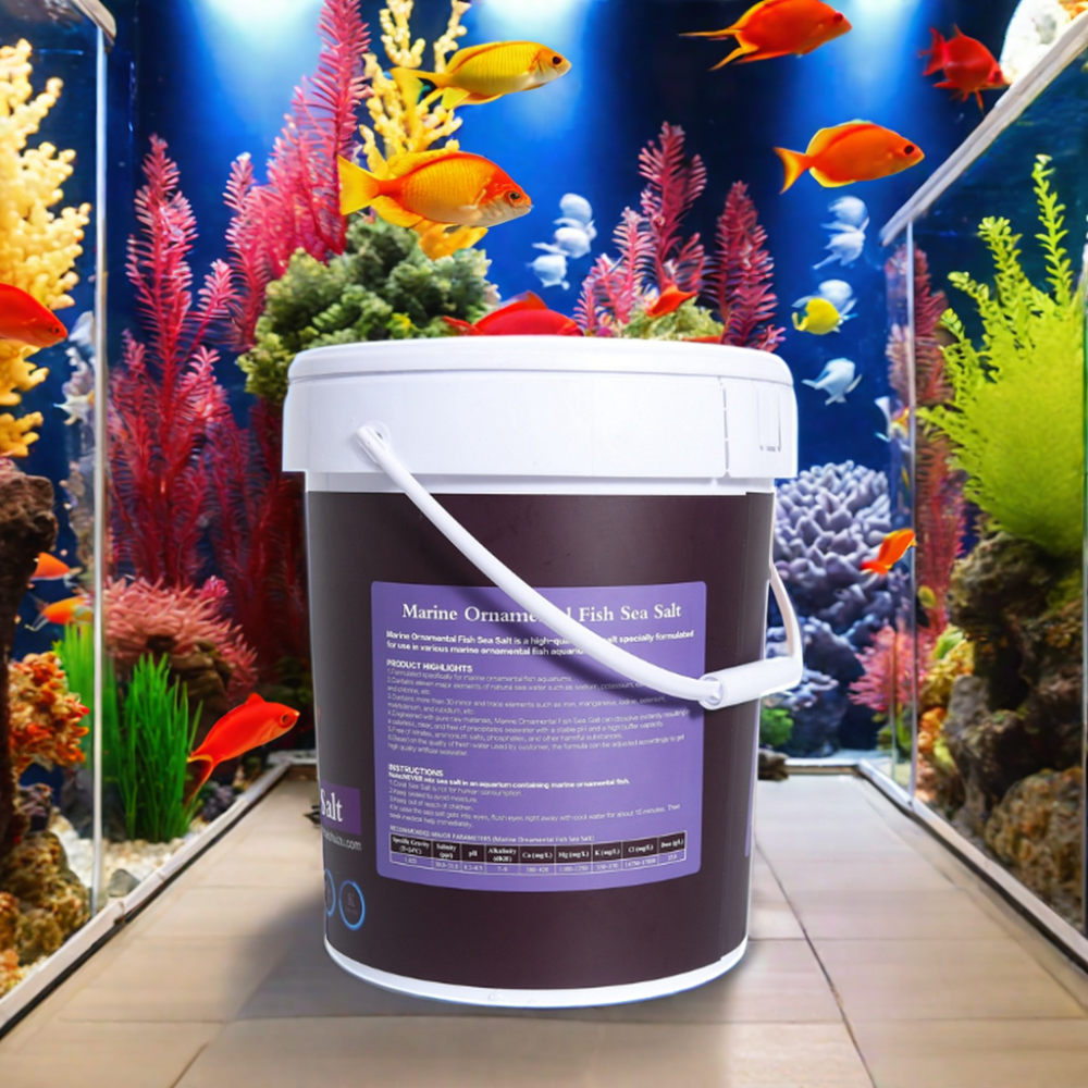 2024 Plastic and PET Marine Fish Tank Filter Sponge Sea Salt Aquarium Accessory for Aquaculture for Farms Made of Glass