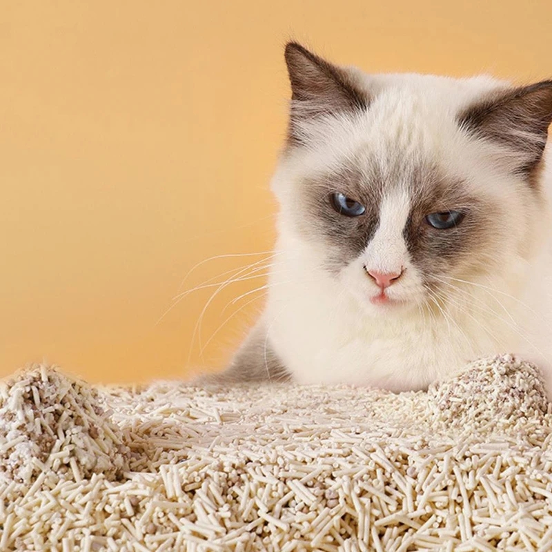 No Pollution Fresh Taste Cheap Tofu Cat Litter Coustum Tofu Mixed Tofu Cat Litter