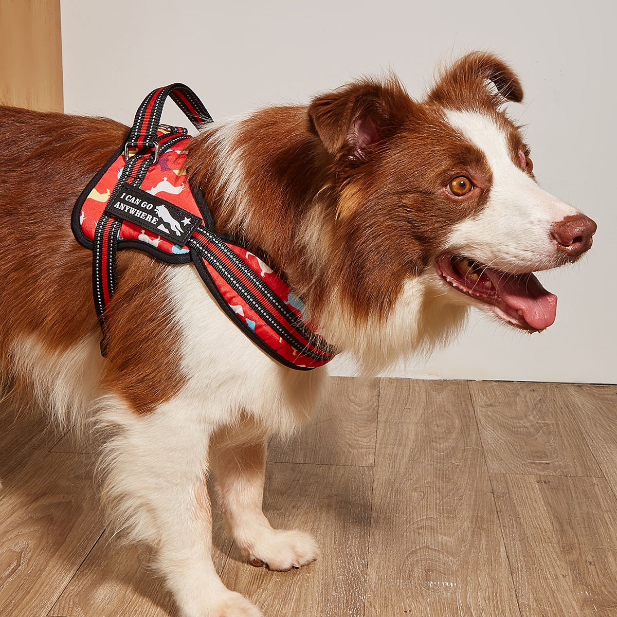 MIDEPET Custom LOGO Accept Pet Product Supplies Front Clip No Pull Dog Harness Print Upgrade Heavy Duty Reflective Fashion 50pcs