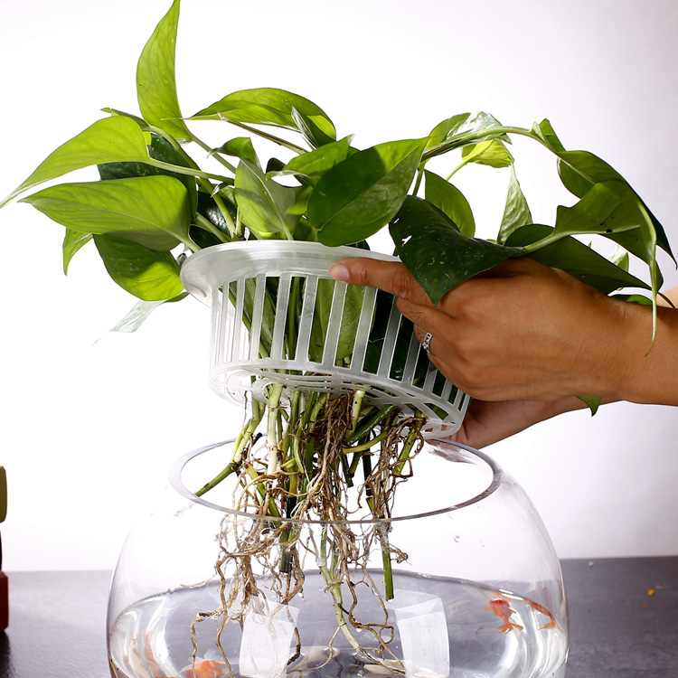 Wholesale Hight Quality Circular Fish tank Round Small/Mini Glass Portable Fish Tank