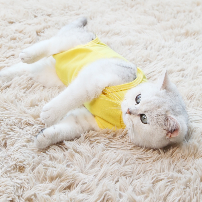 Wholesale Custom Light Pink Blue Yellow Cotton L Size Anti Licking Pet Cat Surgical Sterilization Recovery Suit