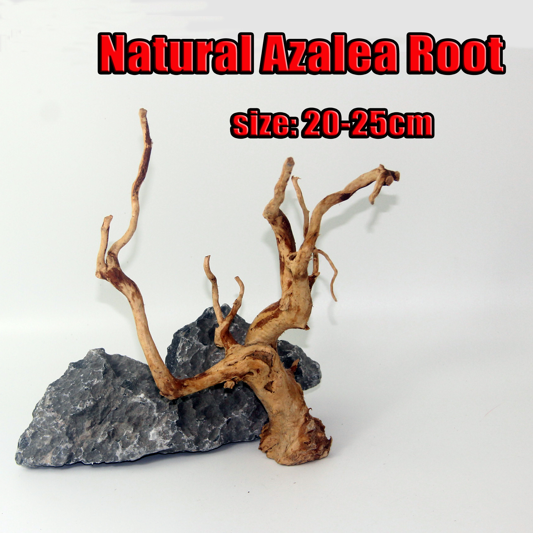 Azalea Root SHANDA aquarium accessories Aquarium Natural Root decoration for plant