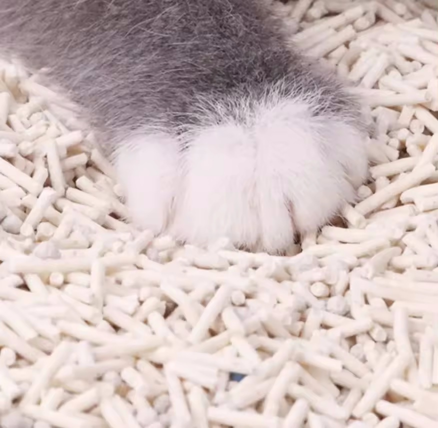 Free Samples Arena Para Gatos Odor Control Coffee Lemon Lavender Clumping Tofu Cat Litter