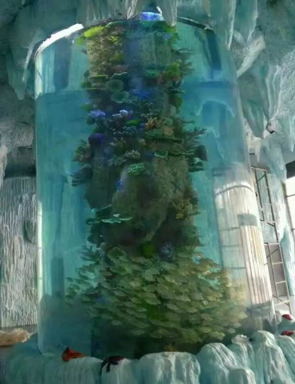 Many years factory ornamental fish tank unique acrylic aquarium